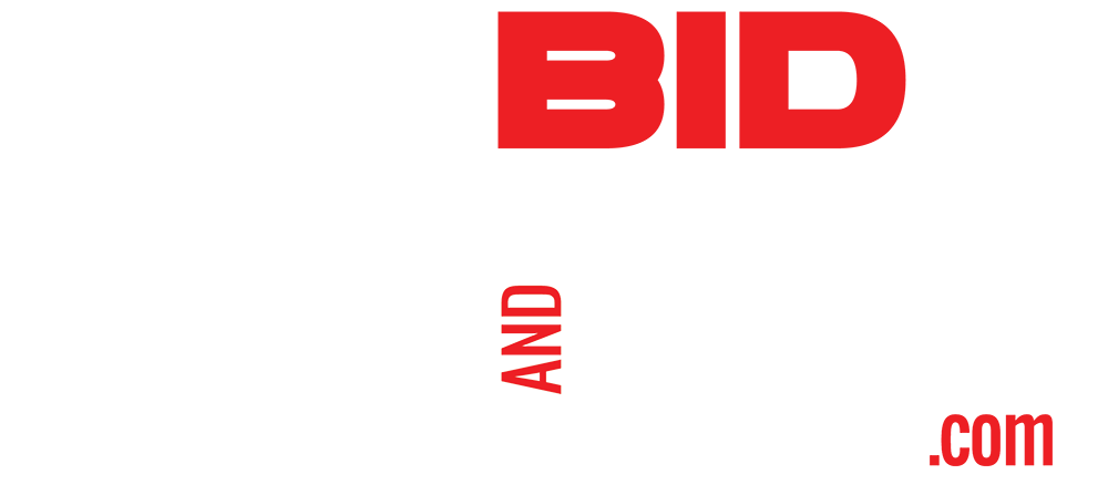 Logo - Bidfast